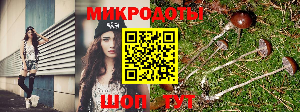 Галлюциногенные грибы ЛСД  Вход с VPN  что такое наркотик  Шадринск 