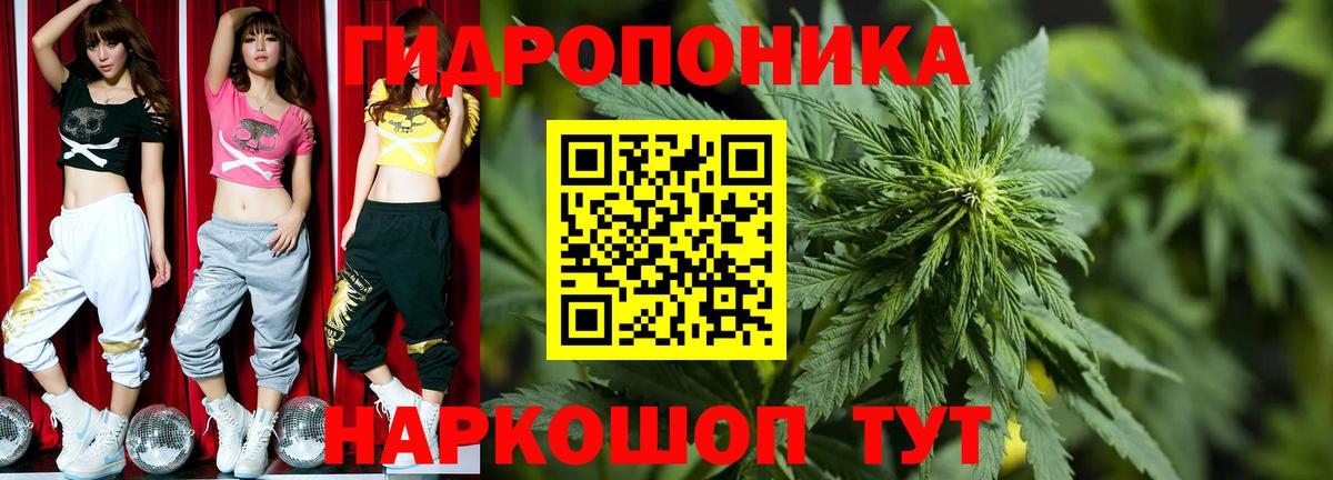 Шадринск  Каннабис Bruce Banner  Вход с VPN  Канабис план  Каннабис White Widow 